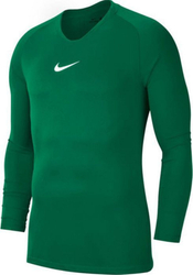 Fotoja e Bluzë futbolli për fëmijë Nike JR Dry Park, nr.122, e gjelbër