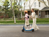 Fotoja e Trotinet elektrik Segway C2 Lite, 130 W, i zi/kaltër, Picture 5