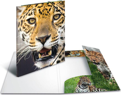 Fotoja e Dosje elastike Herma, A4 PP – Leopard