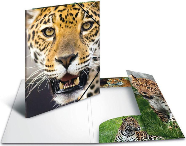 Fotoja e Dosje elastike Herma, A4 PP – Leopard