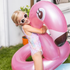 Fotoja e Gome noti Pink Flamingo, 95 cm, Picture 2