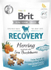 Fotoja e Ushqim për qen Brit Care Dog Functional Snack Recovery Harring, 150g, Picture 1