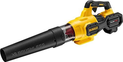Fotoja e Ajërfryrës gjethesh DeWALT, 54 V