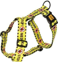 Fotoja e Parzmore për qen Dingo Guard City - Don't Touch!, 38 - 70 cm, M, e verdhë