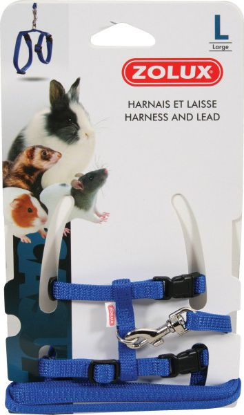 Fotoja e Gjyksore dhe rrip Zolux për hamster, L, të kaltër