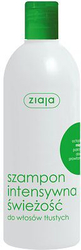Fotoja e Shampo për flokë Ziaja Intensive Freshness Mint, 400 ml