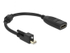 Fotoja e Përshtatës DisplayPort, i zi, Picture 1