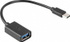 Fotoja e Përshtatës Lanberg, USB-C, i zi, Picture 2