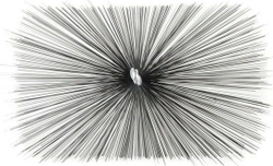 Fotoja e Furçë pastrimi Bratek 5213, 120x240cm, e zezë