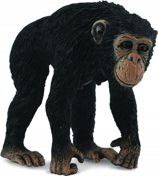 Fotoja e Figurinë shimpaze femër Collecta (004-88493)