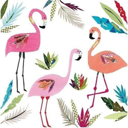 Fotoja e Kartolinë katrore Museums & Galleries me 3 Flamingo