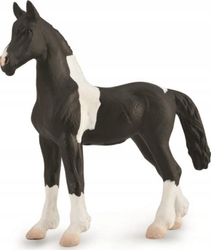 Fotoja e Figurë Barcock Pinto Foal nga CollectA, M (88893)