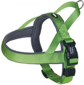 Fotoja e Qafore norvegjeze për qen Nobby Classic Preno L, 60-76 cm, nylon / neopren, e gjelbër / hirtë