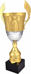 Fotoja e Kupë Victoria Sport, 14 x 42 cm, e artë