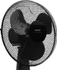 Fotoja e Flladitës tavoline SENCOR SFE 3011BK, i zi, Picture 4