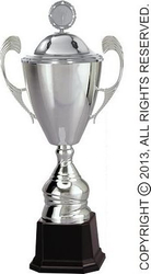 Fotoja e Trofe Victoria Sport Silver, 59cm x 180mm, e argjendtë
