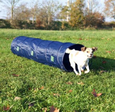 Fotoja e Tunel për qen Trixie Fitness, 40cmx2m