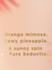 Fotoja e Losion për trup Victoria's Secret Pure Seduction Sol, 236ml, Picture 2