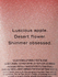 Fotoja e Losion për trup Victoria's Secret Temptation Shimmer, 236ml, Picture 2
