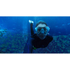 Fotoja e GoPro Blue Water Snorkel Filter, Picture 2