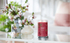 Fotoja e Qiri aromatik Yankee Candle Black Cherry, 567 g, Picture 2