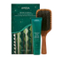 Fotoja e Set Dhuratash për Kujdesin e Flokëve Botanical Repair Strengthen and Smooth Styling Essentials, Picture 1