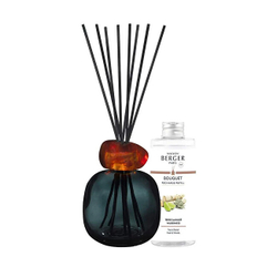 Fotoja e Set Difuzer me shkopinj aromatik + 6 shkopinj polimerikë + Dy mbushje për difuzor 180 ml Maison Berger Paris