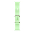 Fotoja e Apple Watch 49mm Band, Neon Green Ocean Band Extension, Natural Titanium Finish, Picture 1