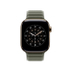 Fotoja e Apple Watch 42mm Magnetic Link, Sage Gray Magnetic Link, M/L, Picture 3