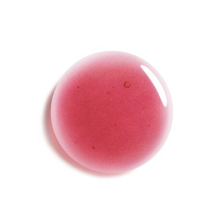 Fotoja e Shkëlqyes për buzë Giorgio Armani Prisma Glass, 3.5 ml, 05