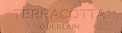 Fotoja e Bronzer Guerlain Terracotta Light The Sun Kissed Healthy Glow Powder, 10 g, 03 Moyen Doré