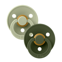 Fotoja e Biberon BIBS Colour Pacifier - 2 copë Sage/Hunter Green / 0-6 Muaj