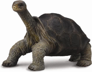 Figurë kolektive Tortoise from Pinta Island Figurë kolektive Tortoise from Pinta Island