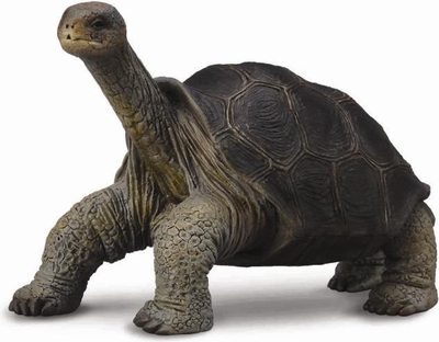 Figurë kolektive Tortoise from Pinta Island