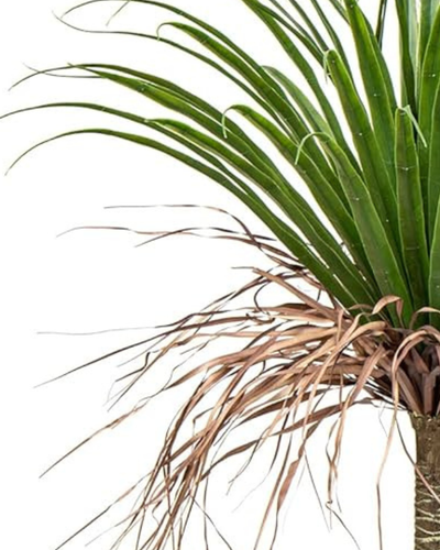 Bimë artificiale Palm Tree, 150 cm