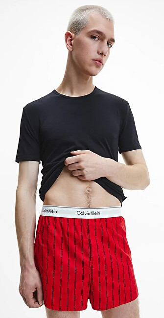 Pizhame Calvin Klein NB3324E68K