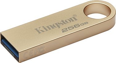 USB Pendrive Kingston DTSE9G3, 256 GB, e artë