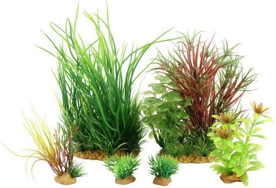 Set i dekorimeve për akuarium Zolux Plantkit Jalaya model 4, të gjelbra