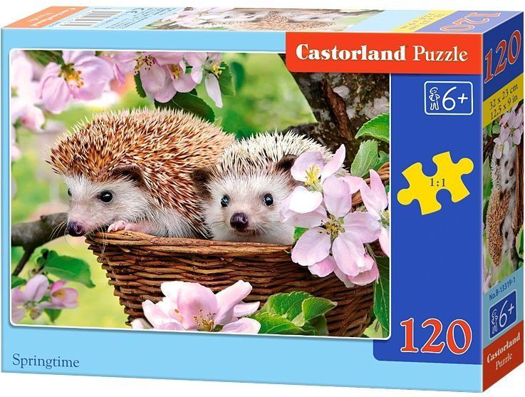 Puzzle Castorland, 120 elemente