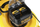 Kositëse bari Dewalt XR (DCMW564N) 2x18V