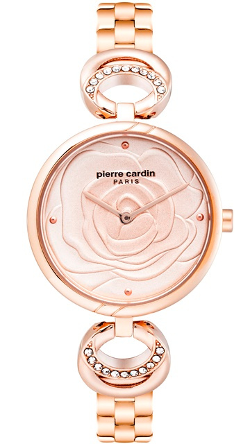 Ore Pierre Cardin PC902762F07