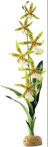 Bimë dekoruese për akuarium Hagen Exoterra Orchid, 42cm, e gjelbër Bimë dekoruese për akuarium Hagen Exoterra Orchid, 42cm, e gjelbër