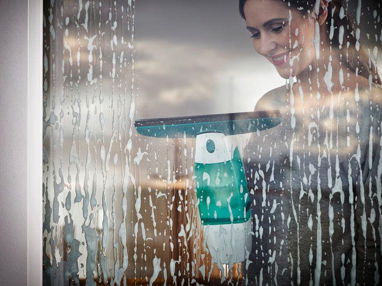 Pastruese për xhama Leifheit Dry&Clean 51003