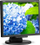 Monitor NEC MultiSync E172M (60005020), WLED, 17'', SXGA, i zi
