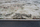 Tepih Gjini Home Ragolle Argentum 063-0872-6444, 80 x 150cm