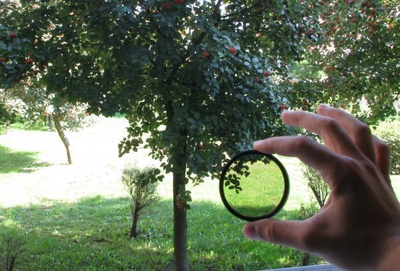 Lente polarizuese SunnyLife Cpl për Insta360 Go 2