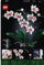 Set LEGO Creator Expert 10311 Orchid, 608 pjesë