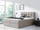 Shtrat kontinental Knotweed (146 x 103 x 208)