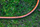 Gyp kopshti për ujitje NEO, 3/4", 30m, 6-shtresor (15-844)