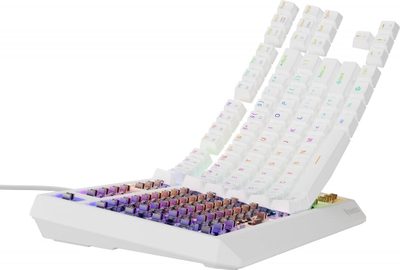 Tastierë Genesis Thor 230 TKL Outemu Brown, e bardhë